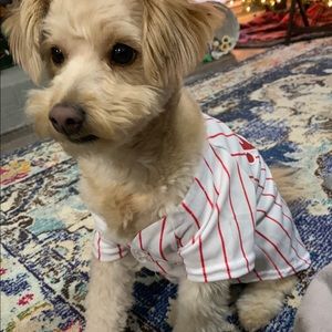 Meet your Posher, Renee